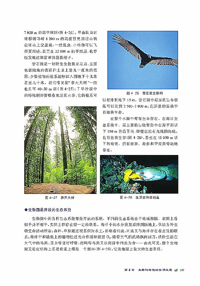 北师大版高中高二生物必修3生态系统是一个相对稳定的系统第17页