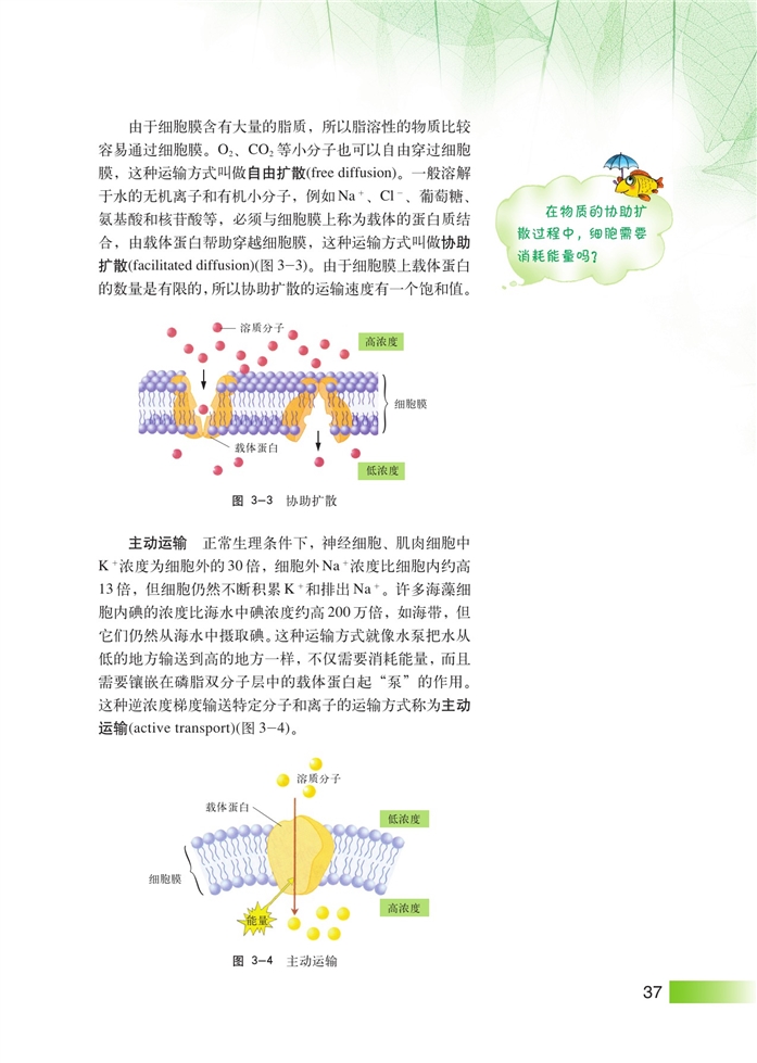 沪科版高中高一生命科学生命科学（第一册）生命结构基础第2页