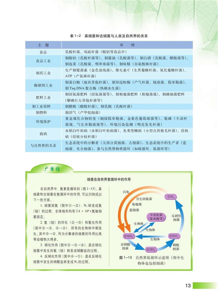 沪科版高中高三生命科学生命科学(拓展)显微镜下的微生物第5页