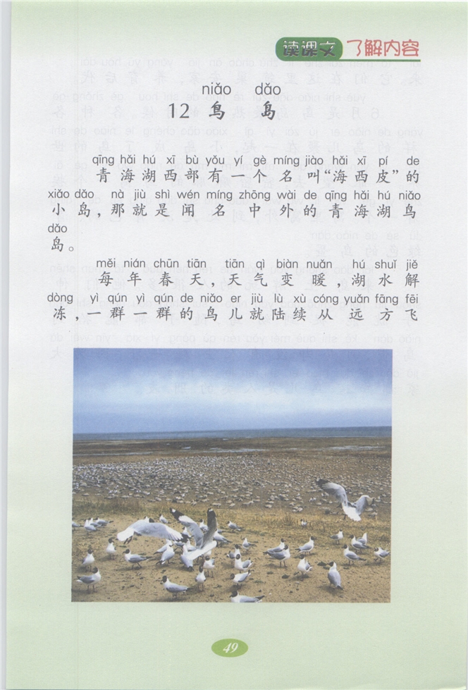 沪教版小学二年级语文上册鸟岛第0页