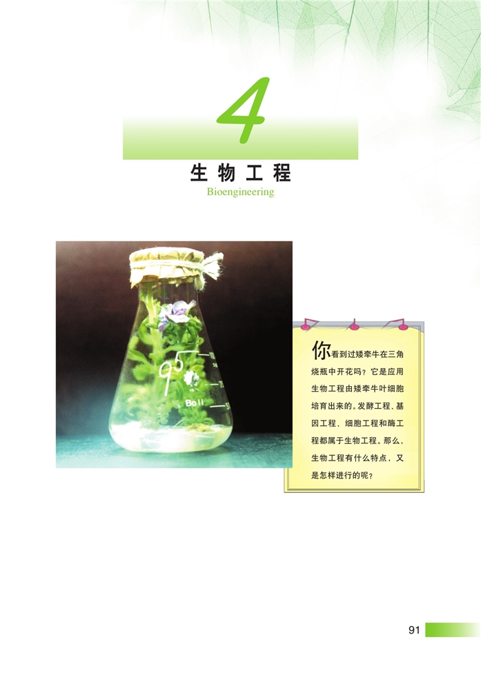 沪科版高中高三生命科学生命科学(拓展)生物工程第0页