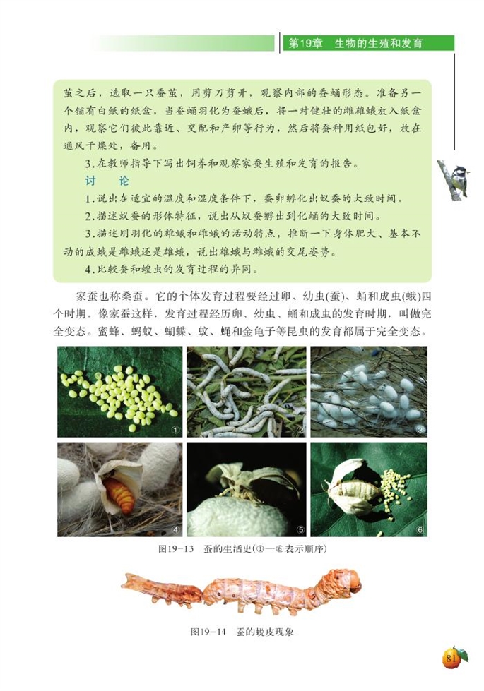 北师大版初中生物初二生物上册动物的生殖和发育第5页