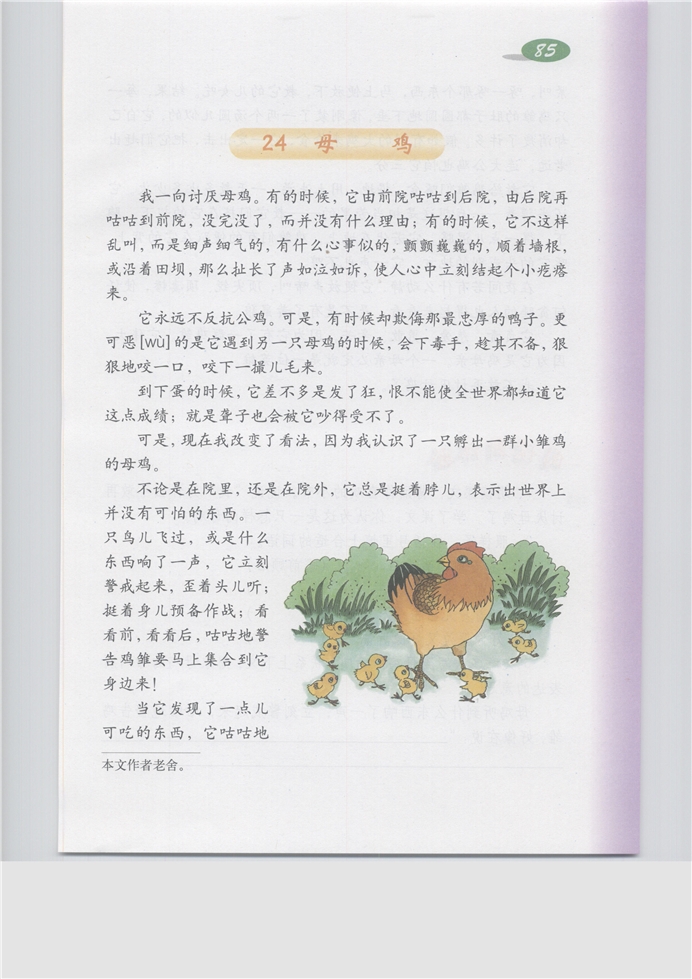 沪教版小学五年级语文上册母鸡第0页