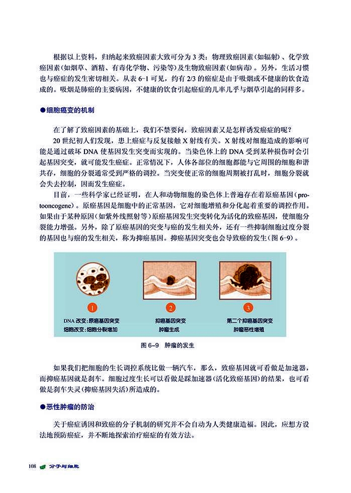 北师大版高中高一生物必修1细胞的癌变第2页