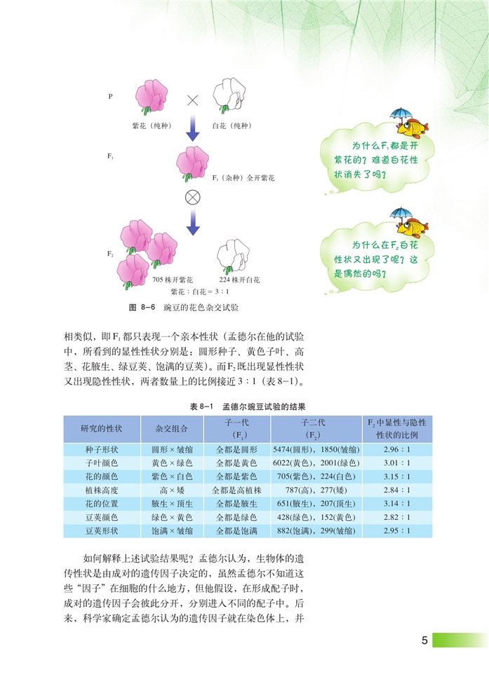 沪科版高中高三生命科学生命科学（第三册）遗传规律第3页