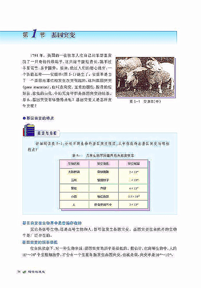 北师大版高中高一生物必修2基因突变第0页