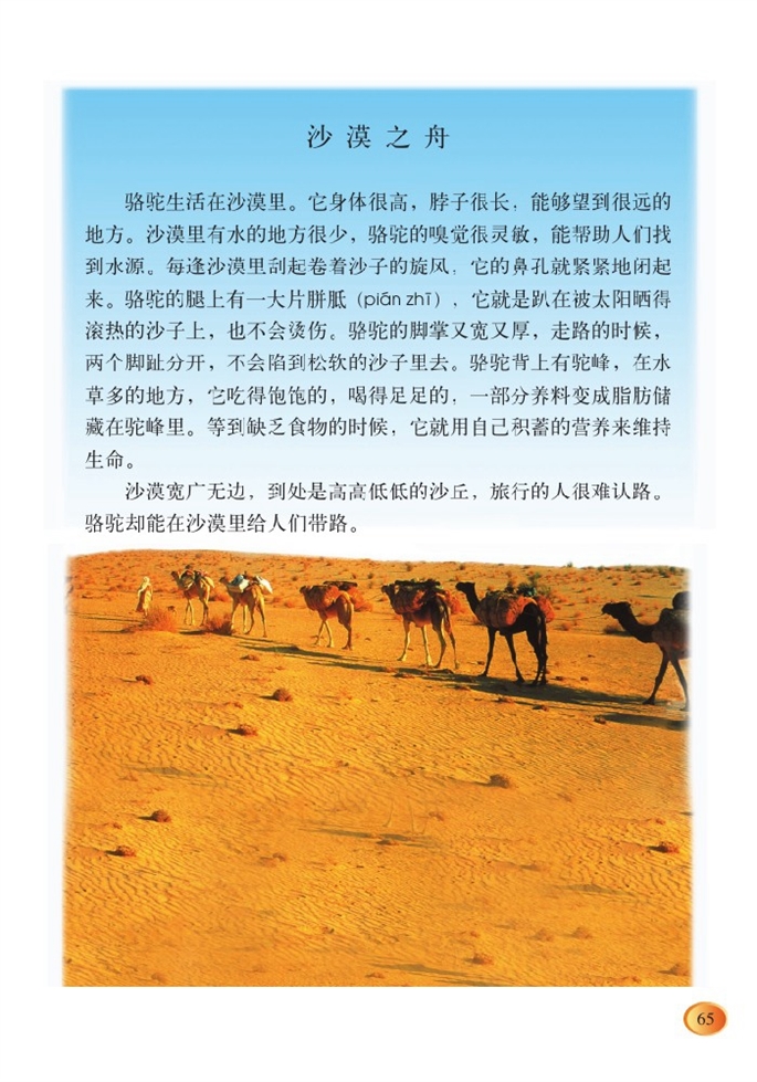 北师大版小学四年级语文下册沙漠之舟第0页