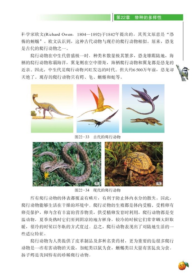 北师大版初中生物初二生物下册动物的主要类群第12页