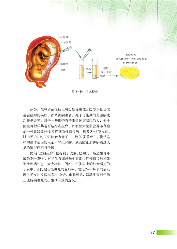 沪科版高中高三生命科学生命科学（第三册）人类遗传病和遗传病预防第6页