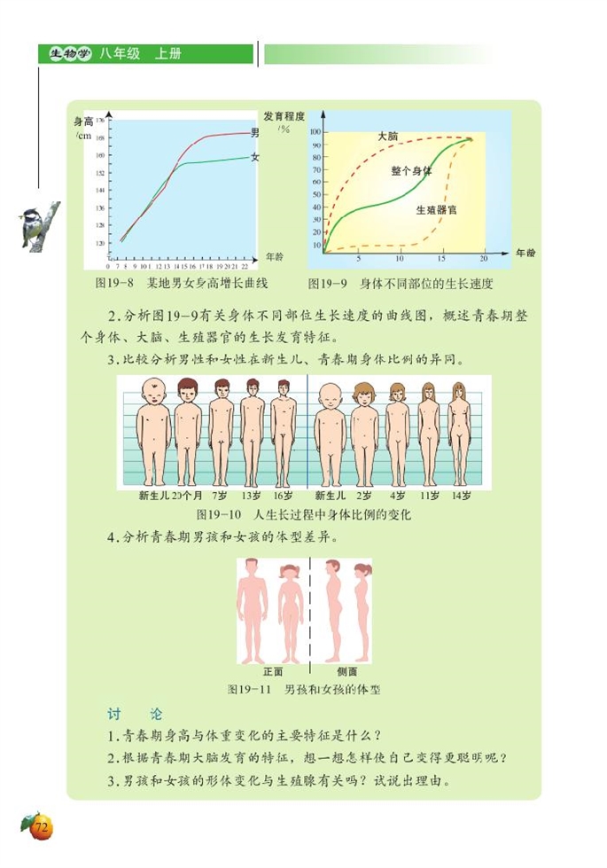 北师大版初中生物初二生物上册人的生殖和发育第6页