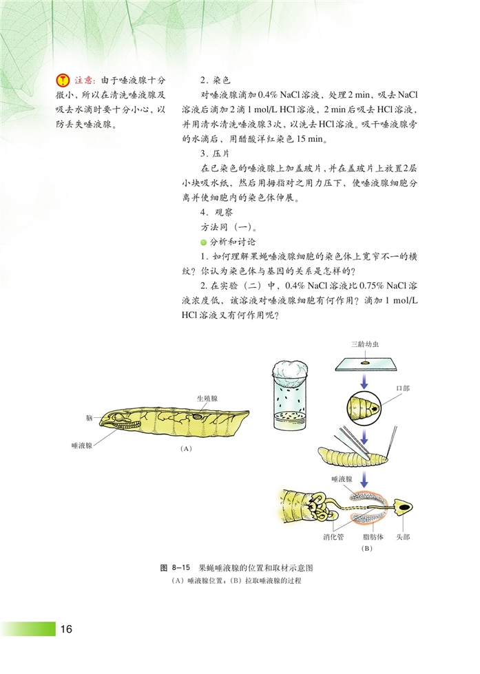 沪科版高中高三生命科学生命科学（第三册）遗传规律第14页