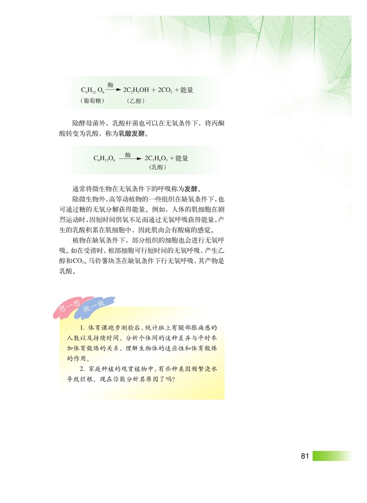 沪科版高中高一生命科学生命科学（第一册）细胞的呼吸第4页