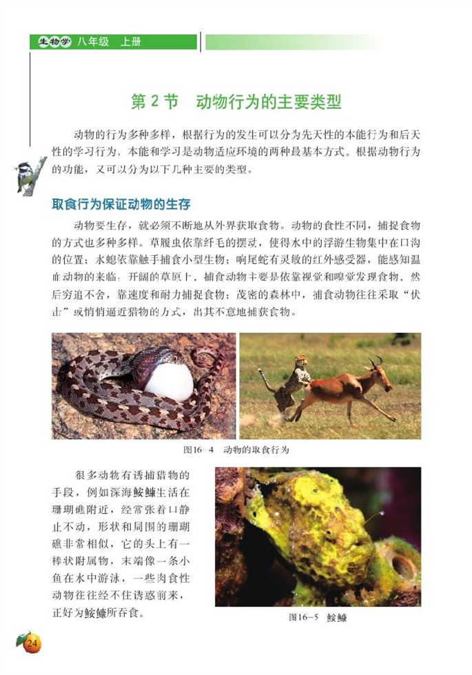 北师大版初中生物初二生物上册动物行为的主要类型第0页