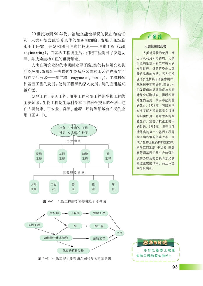 沪科版高中高三生命科学生命科学(拓展)生物工程的概述第1页