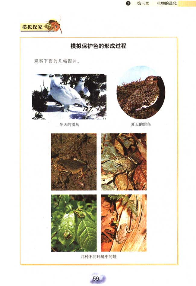 2013部编版八年级生物下册第三节 生物进化的原因第1页