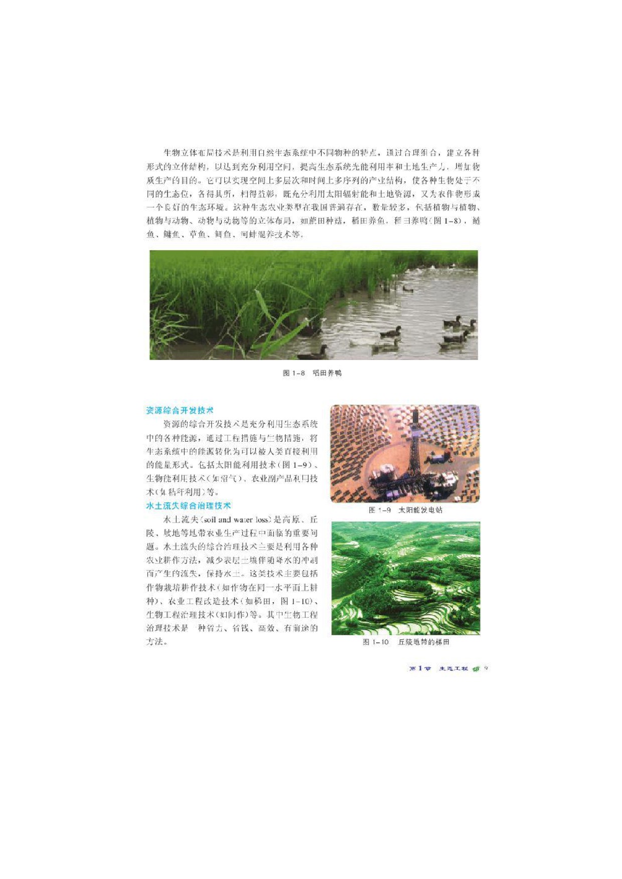 北师大高中生物选修三第二节农业生态工程第1页