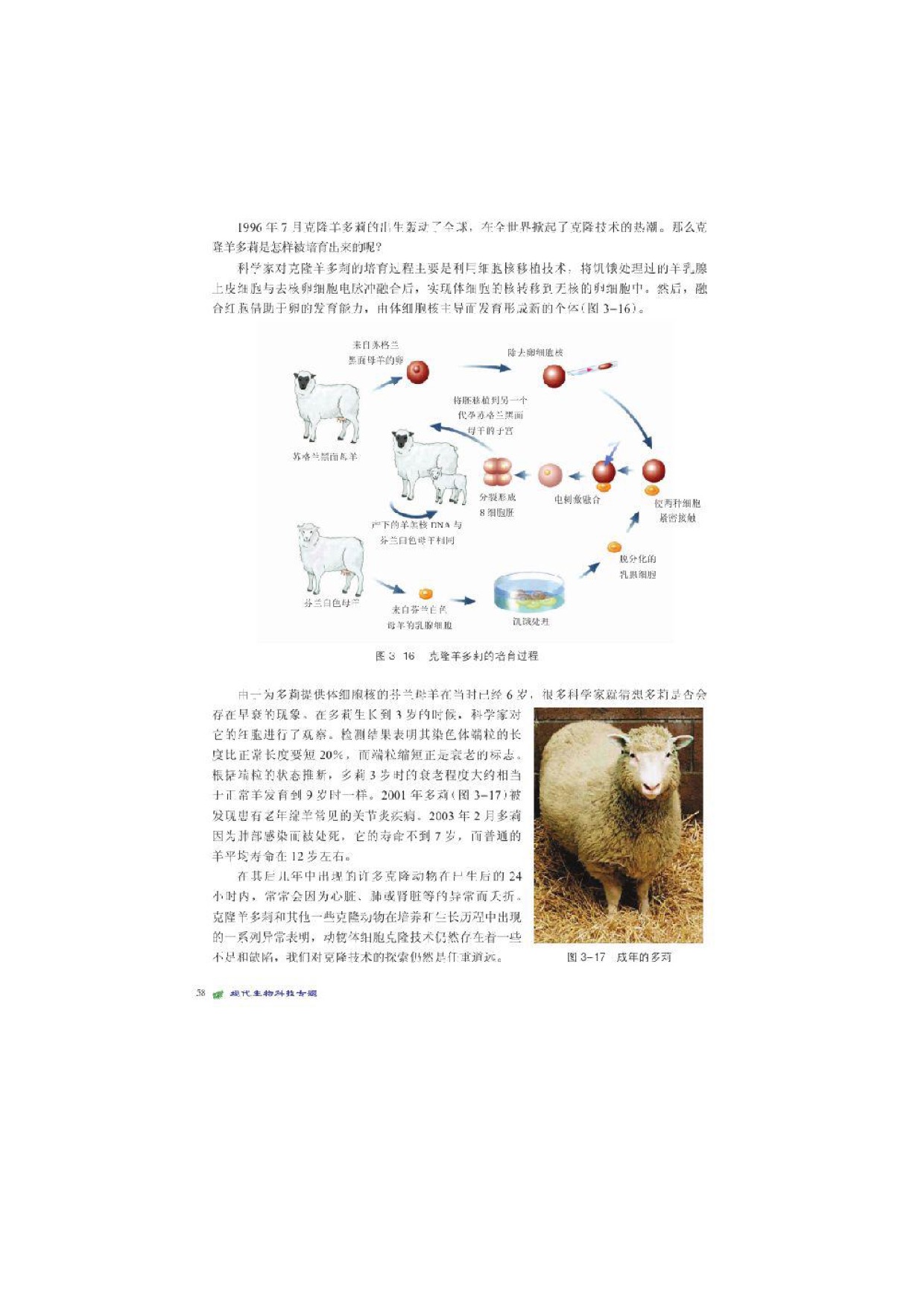 北师大高中生物选修三第二节动物细胞工程第5页