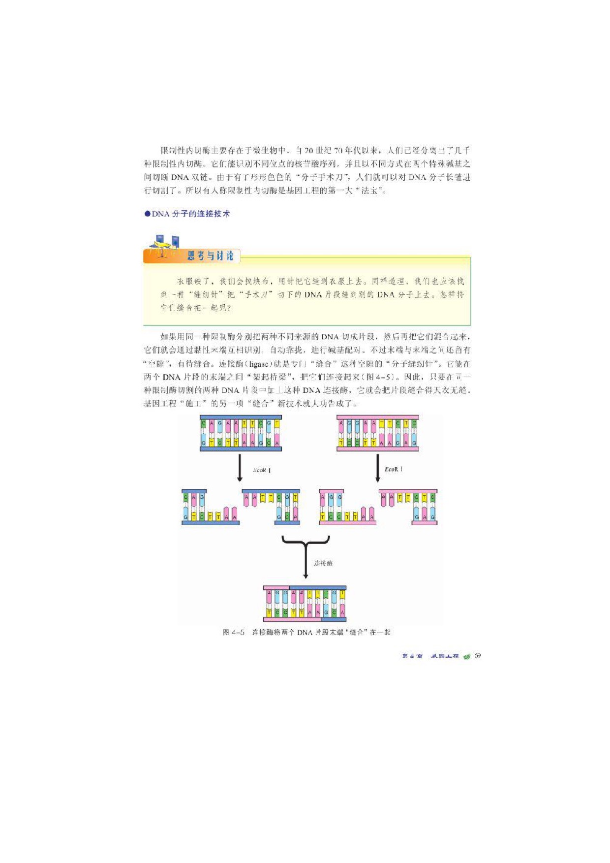 北师大高中生物选修三第一节基因工程的基本原理和技术第3页