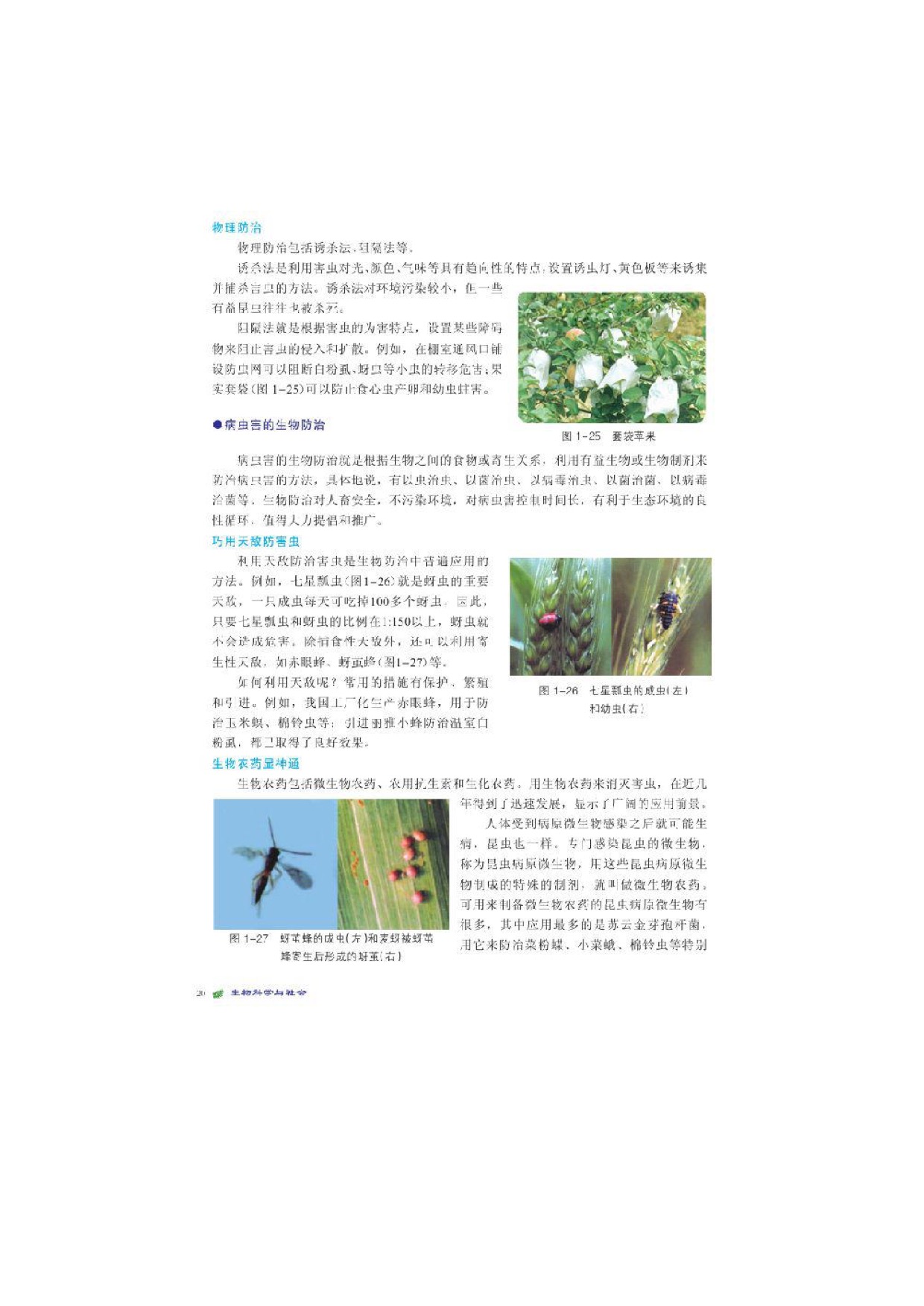 北师大高中生物选修二第3节 植物病虫害的防治第3页