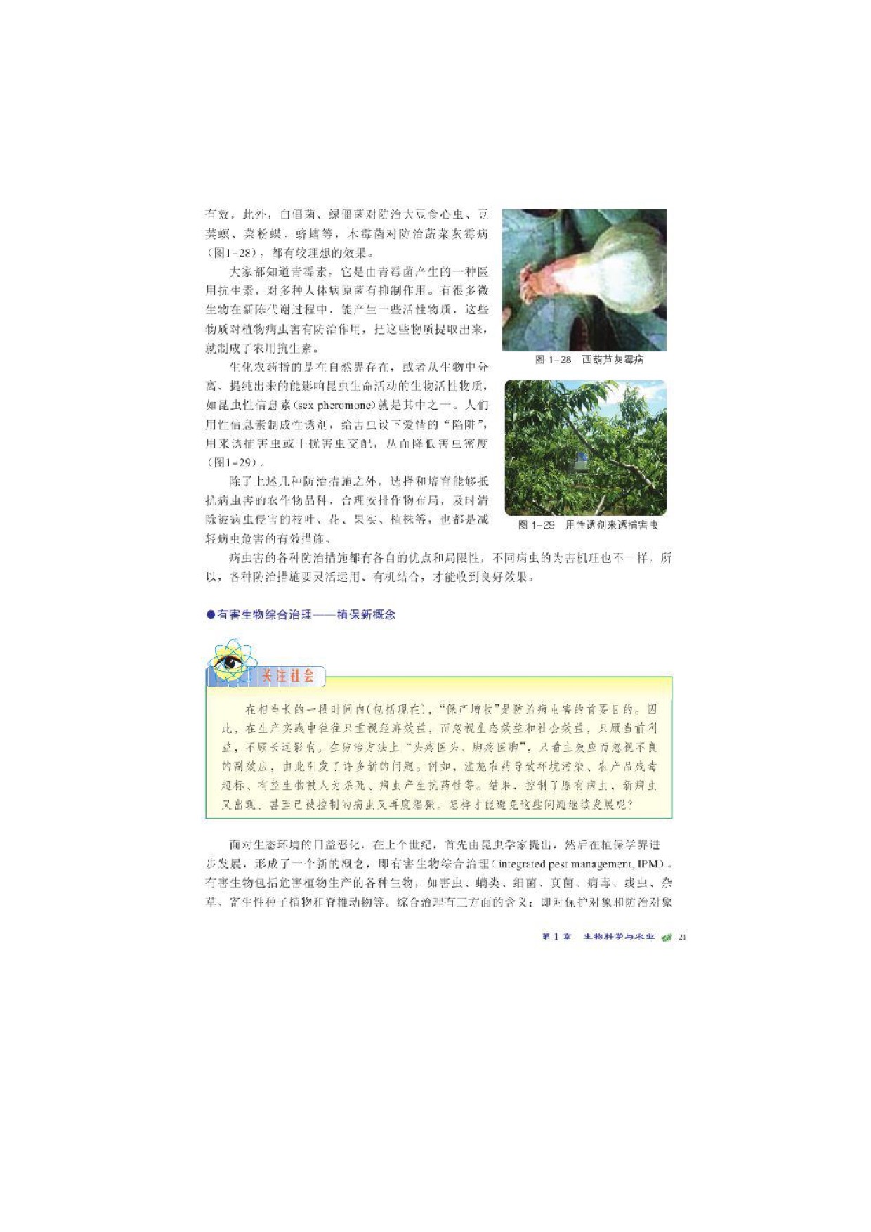 北师大高中生物选修二第3节 植物病虫害的防治第4页