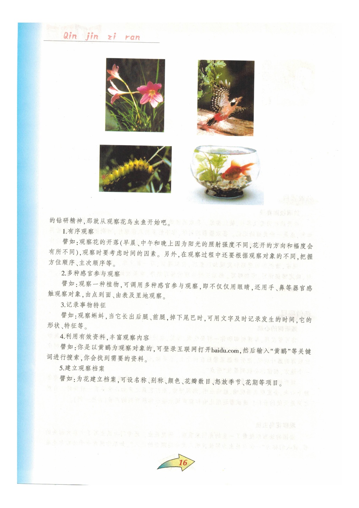 沪教版七年级语文下册第一单元 亲近自然第15页