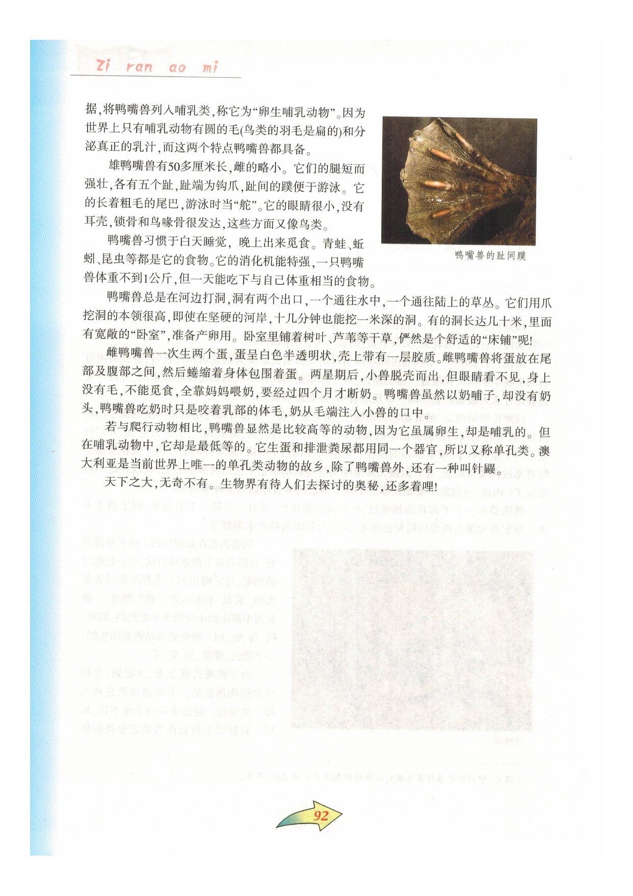 沪教版七年级语文下册第五单元 自然奥秘第14页
