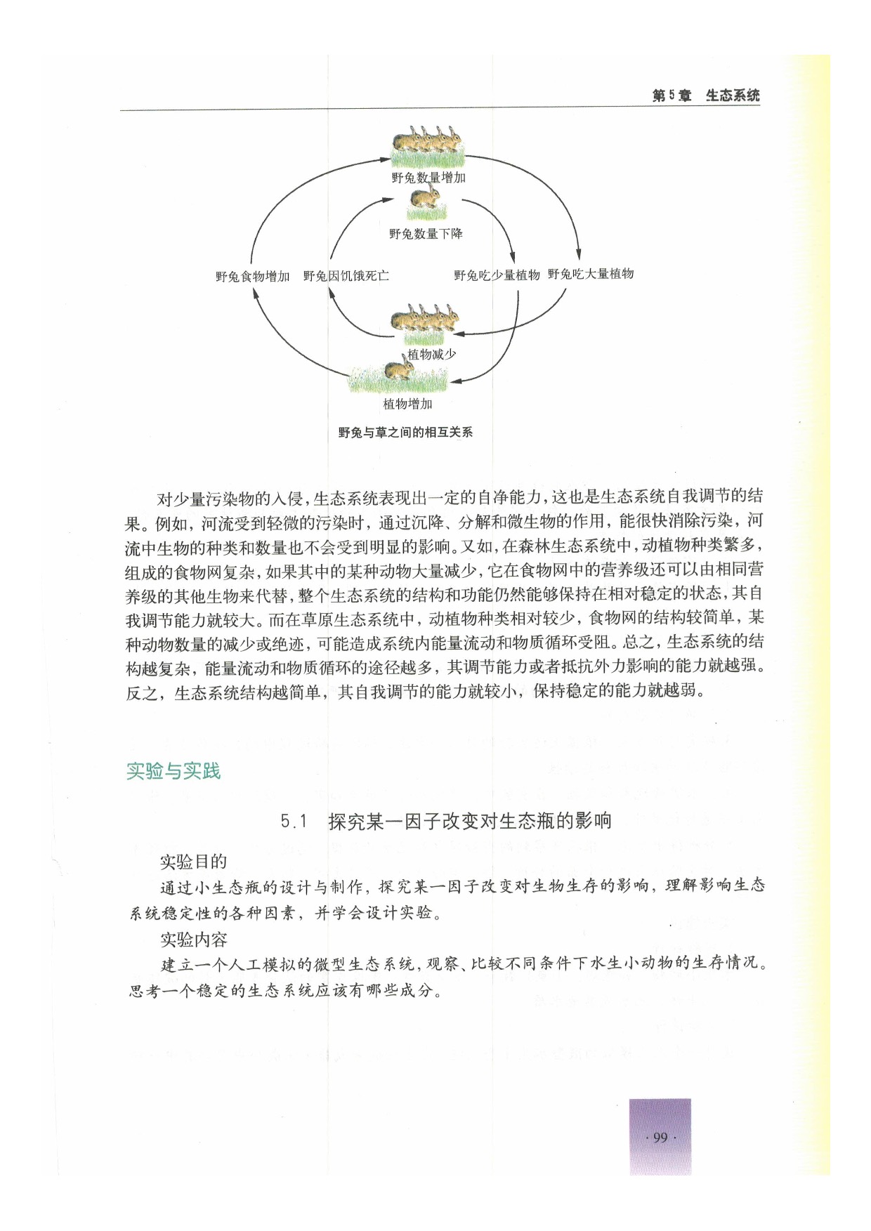 沪教版初中生物第二册第三节 生态系统的稳定性第4页