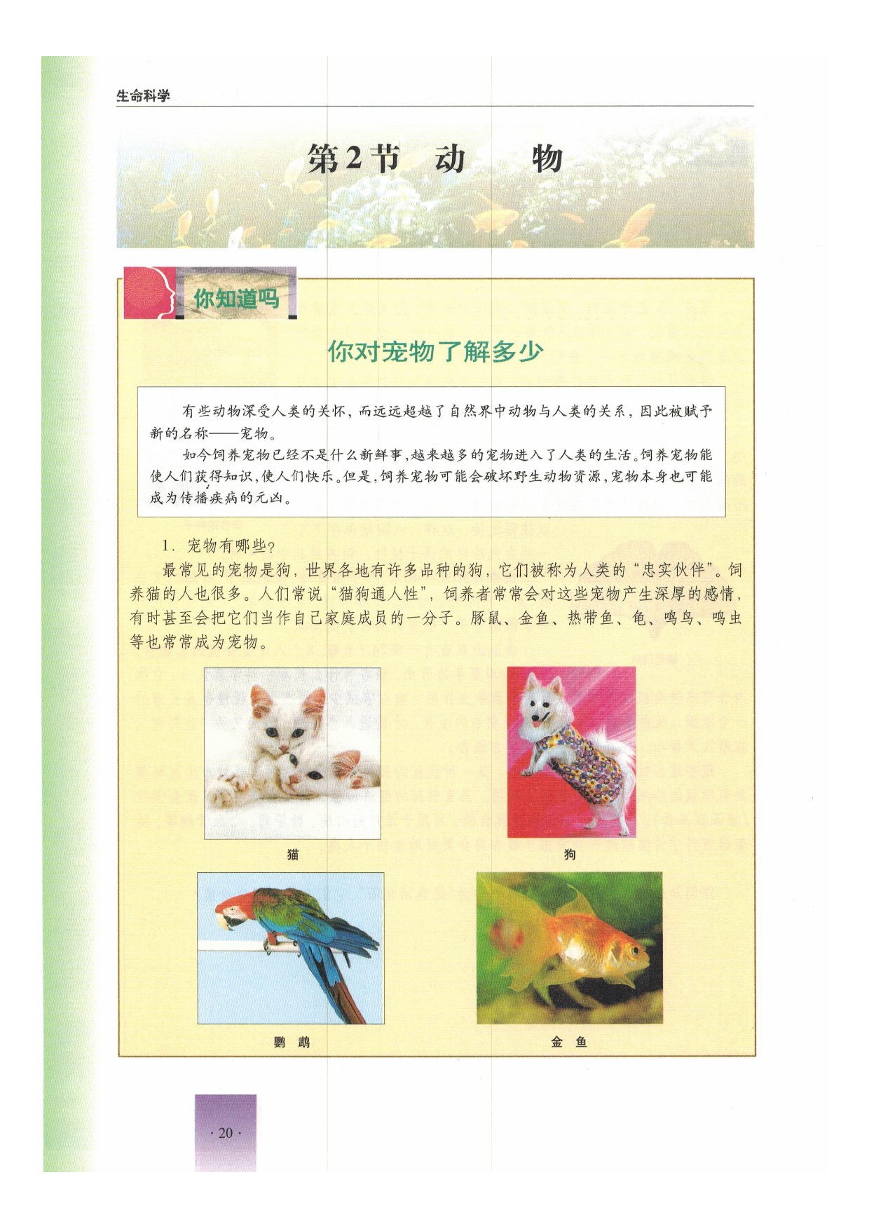 沪教版初中生物第二册第二节 动物第0页