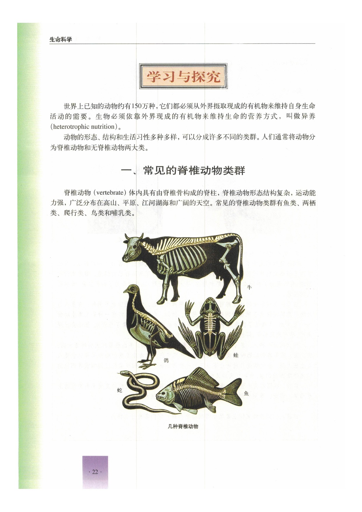 沪教版初中生物第二册第二节 动物第2页