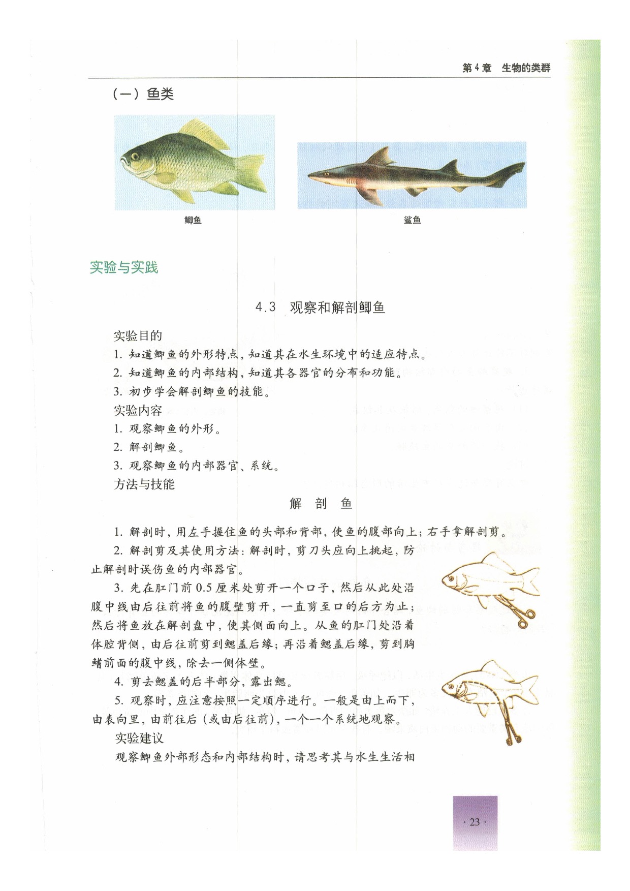 沪教版初中生物第二册第二节 动物第3页