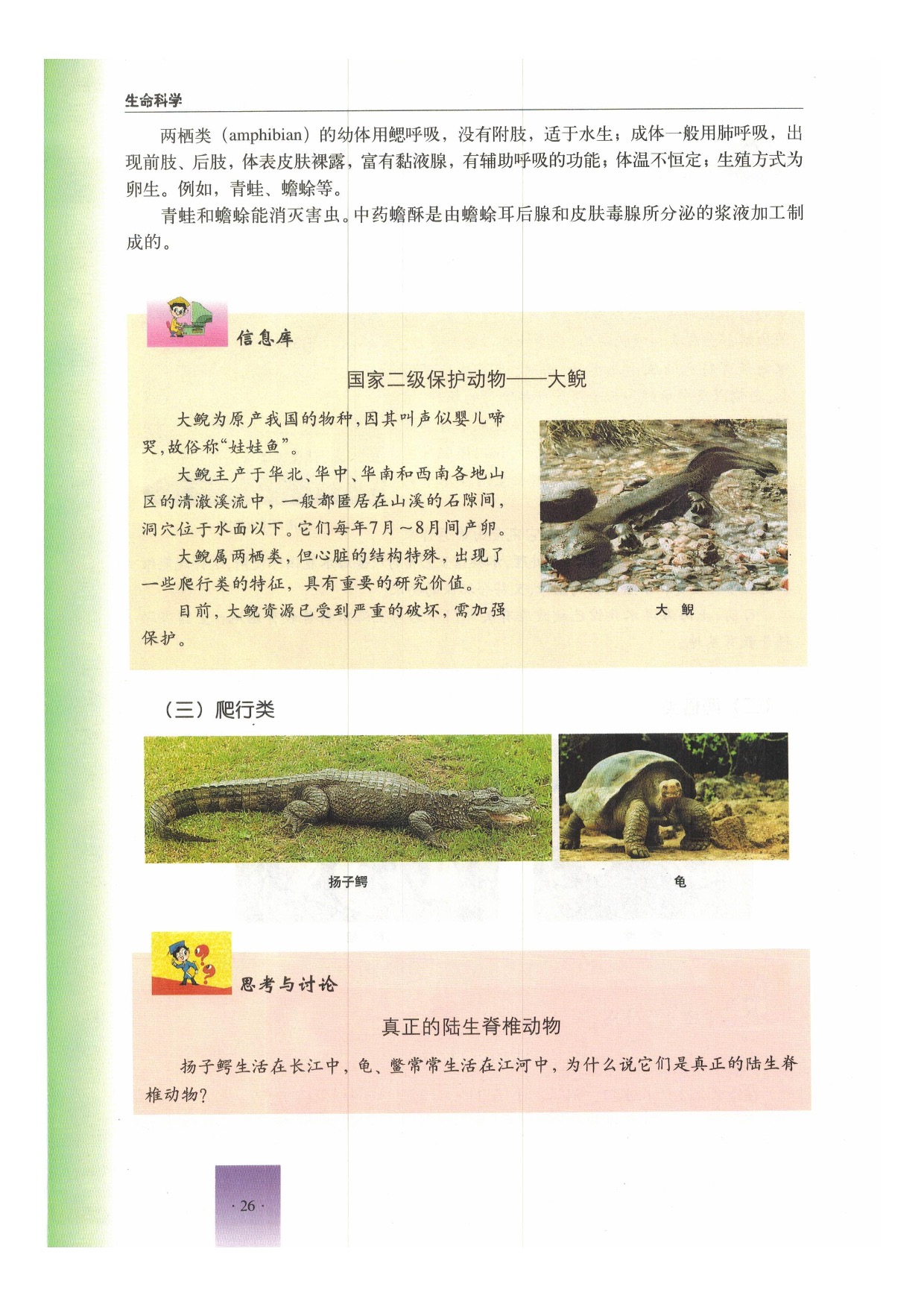 沪教版初中生物第二册第二节 动物第6页