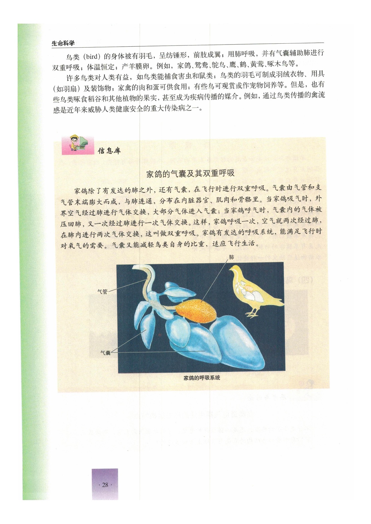 沪教版初中生物第二册第二节 动物第8页