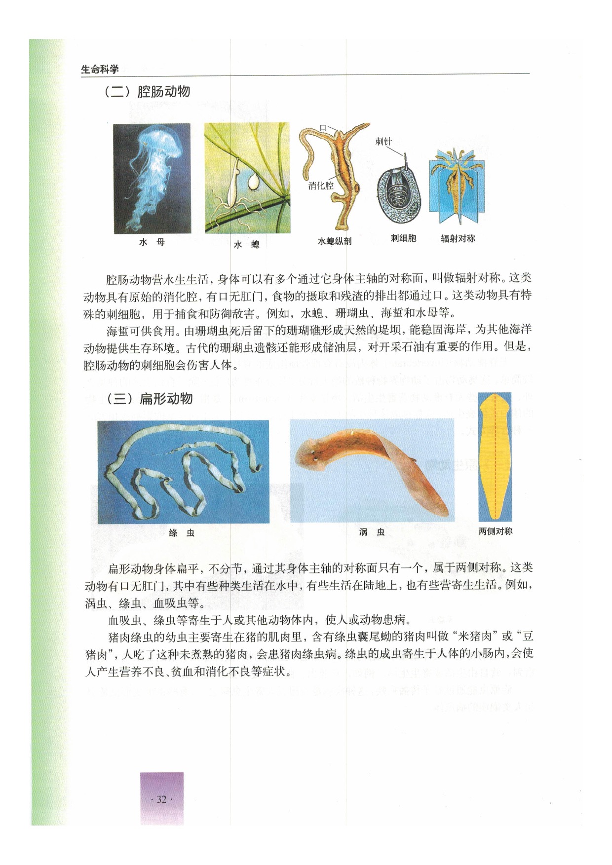 沪教版初中生物第二册第二节 动物第12页