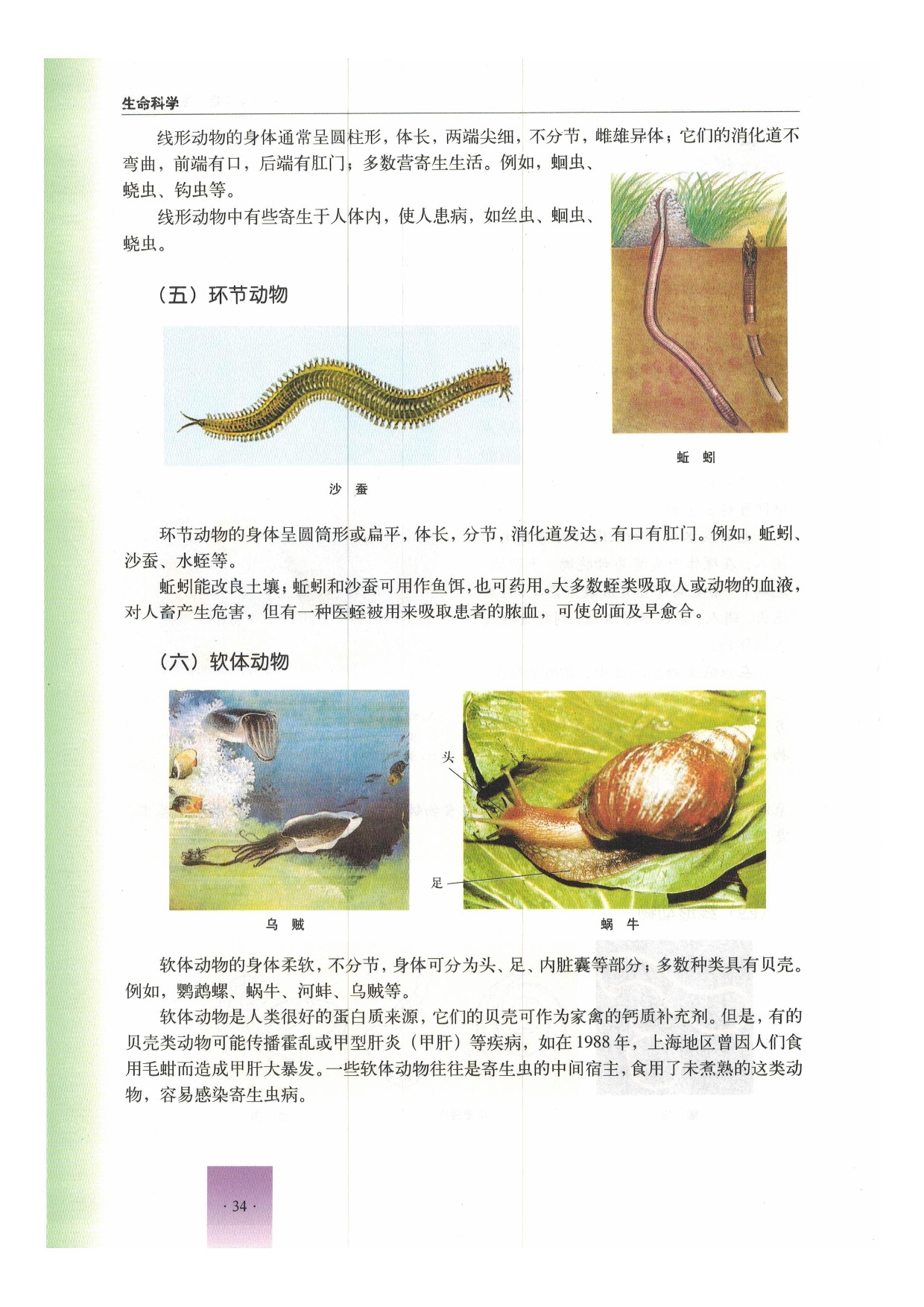 沪教版初中生物第二册第二节 动物第14页