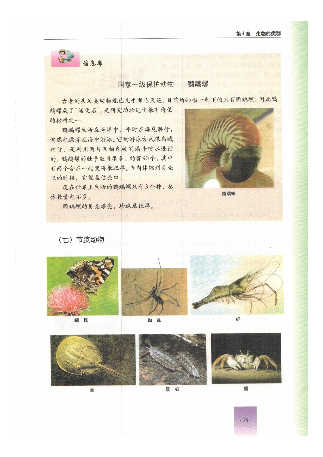 沪教版初中生物第二册第二节 动物第15页
