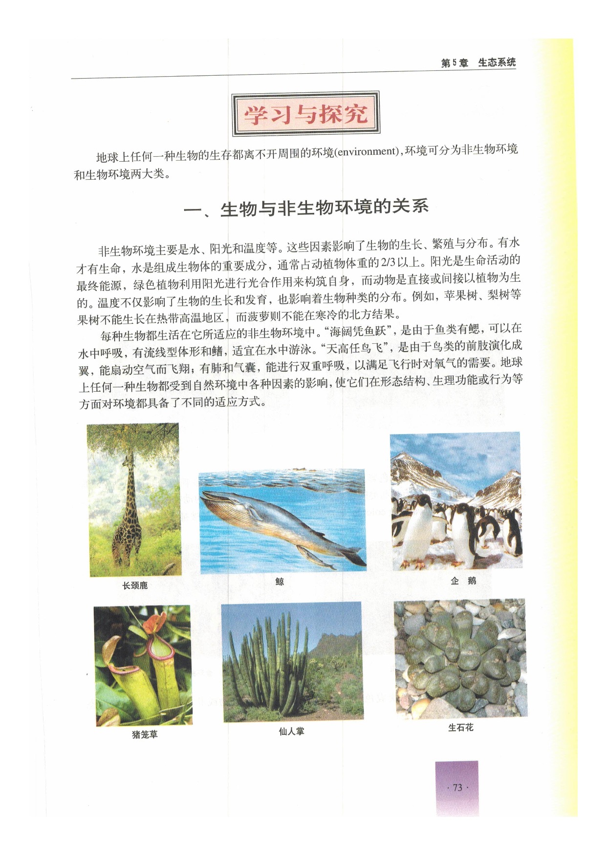 沪教版初中生物第二册第一节 生物与环境第2页