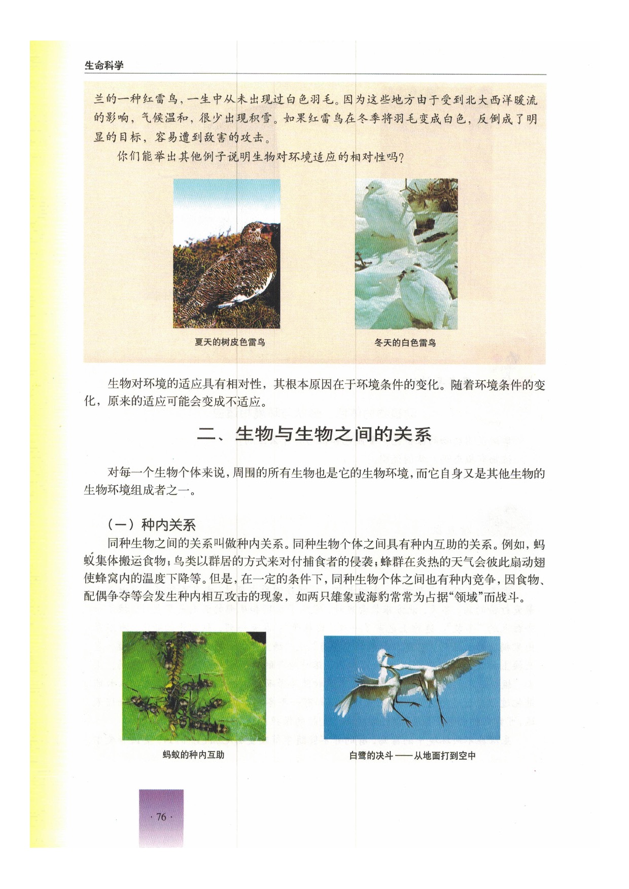 沪教版初中生物第二册第一节 生物与环境第5页