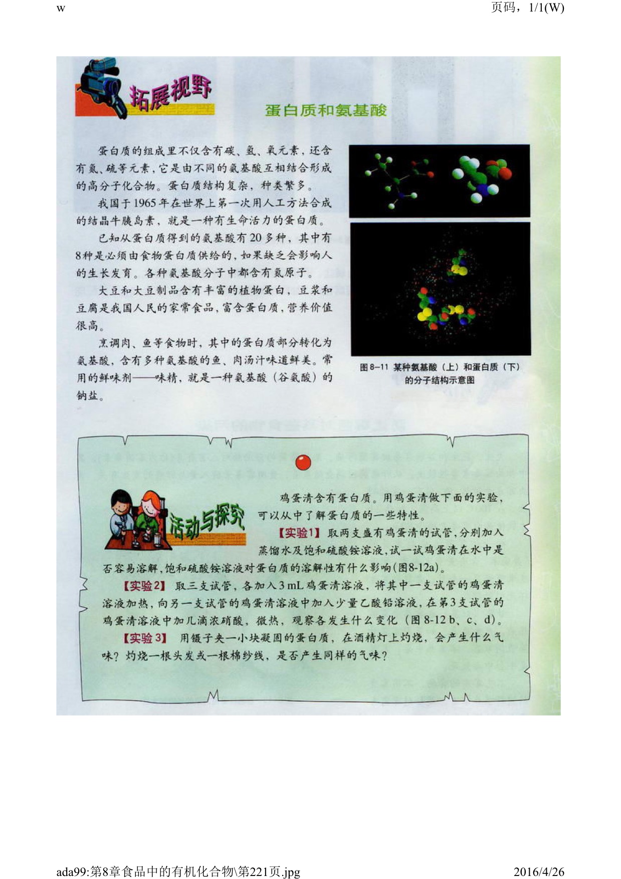 沪教版初中化学九年级下册三 蛋白质和维生素第1页