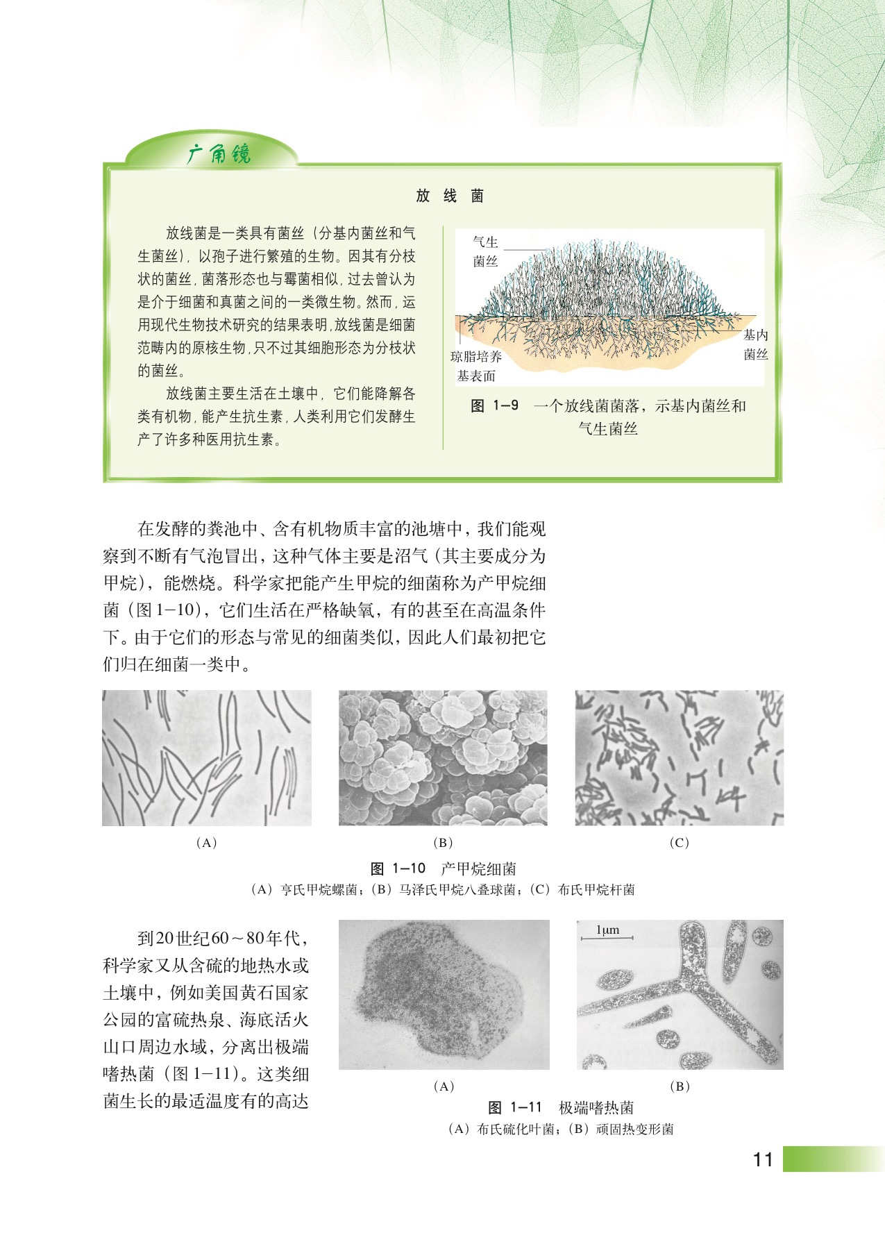 沪教版高中生物拓展型第2节 显微镜下的微生物第3页