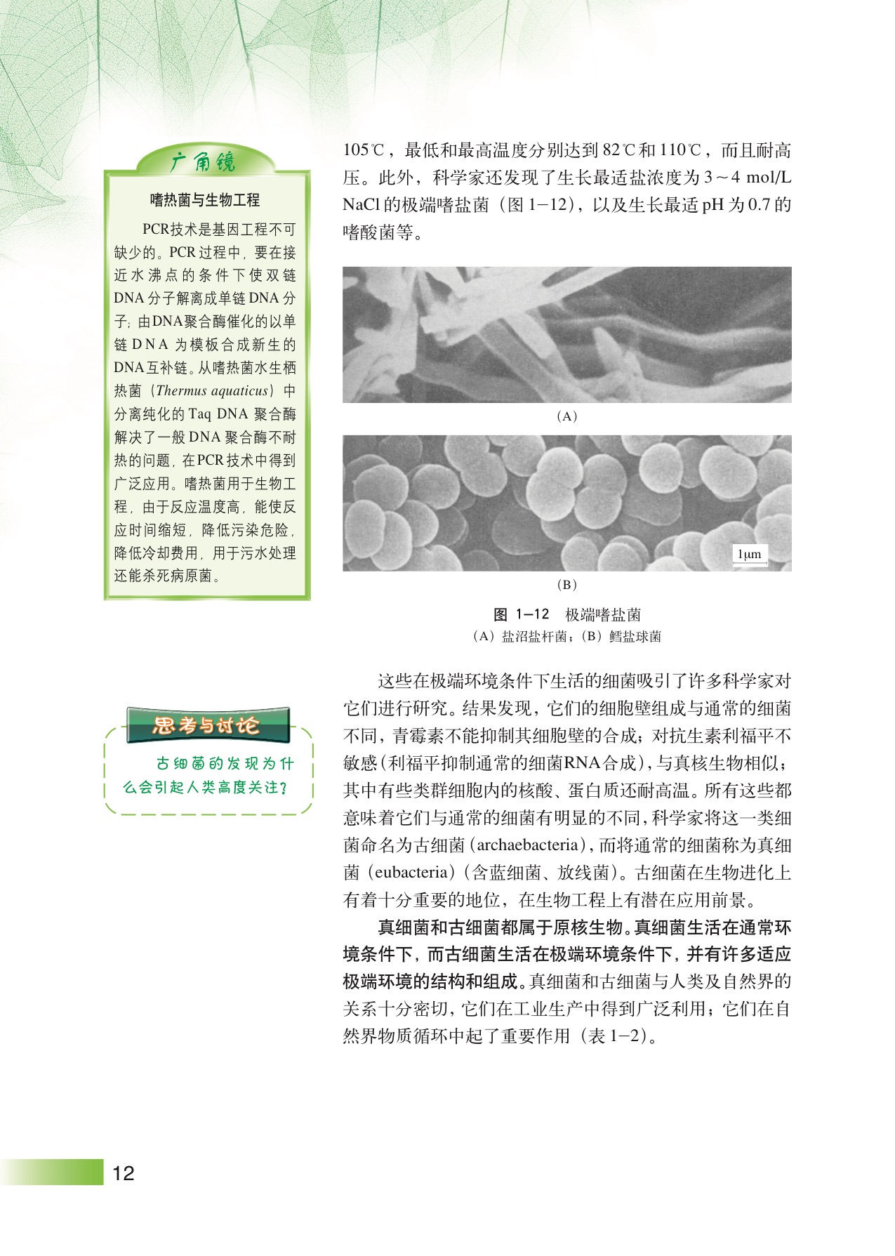 沪教版高中生物拓展型第2节 显微镜下的微生物第4页