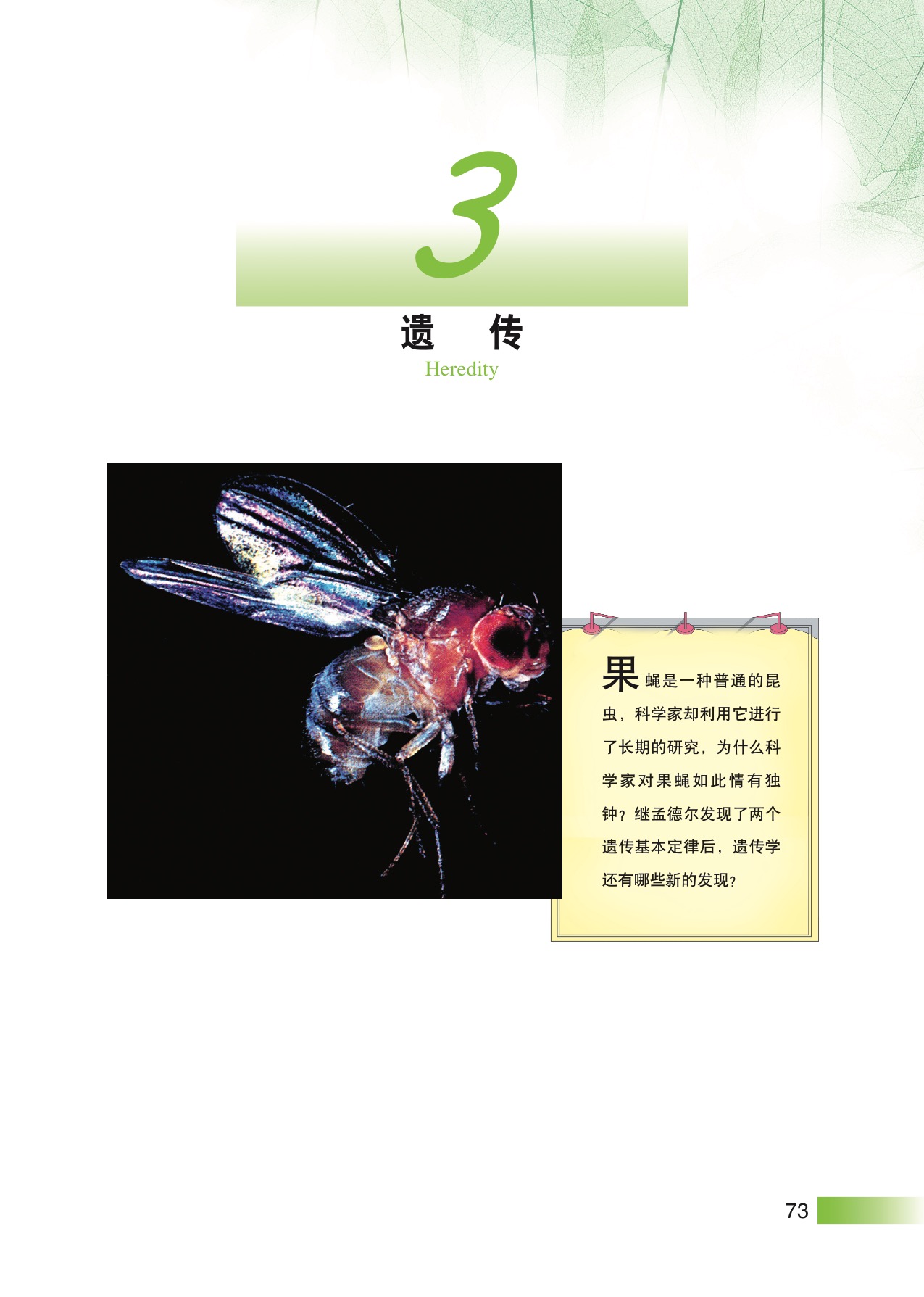 沪教版高中生物拓展型3 遗传第0页