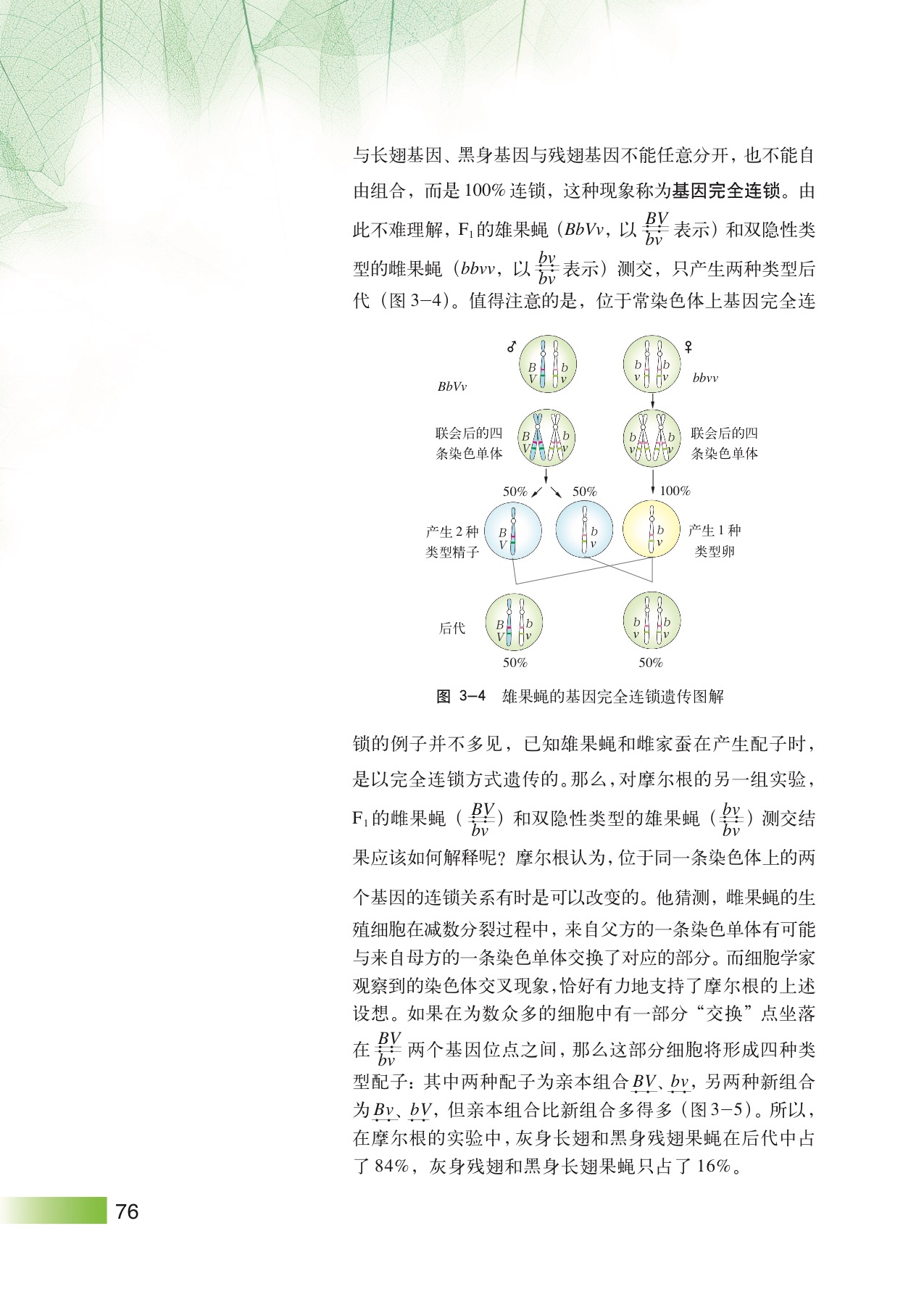 沪教版高中生物拓展型第1节 基因连锁和交换定律第2页