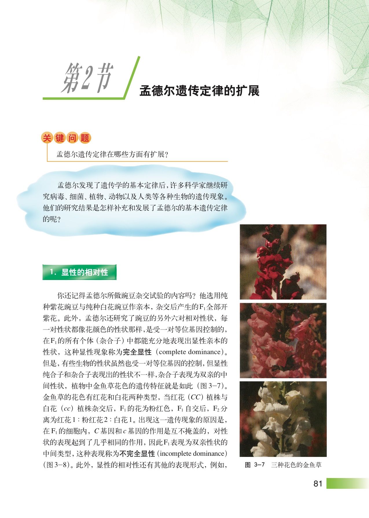 沪教版高中生物拓展型第2节 孟德尔遗传定律的扩展第0页