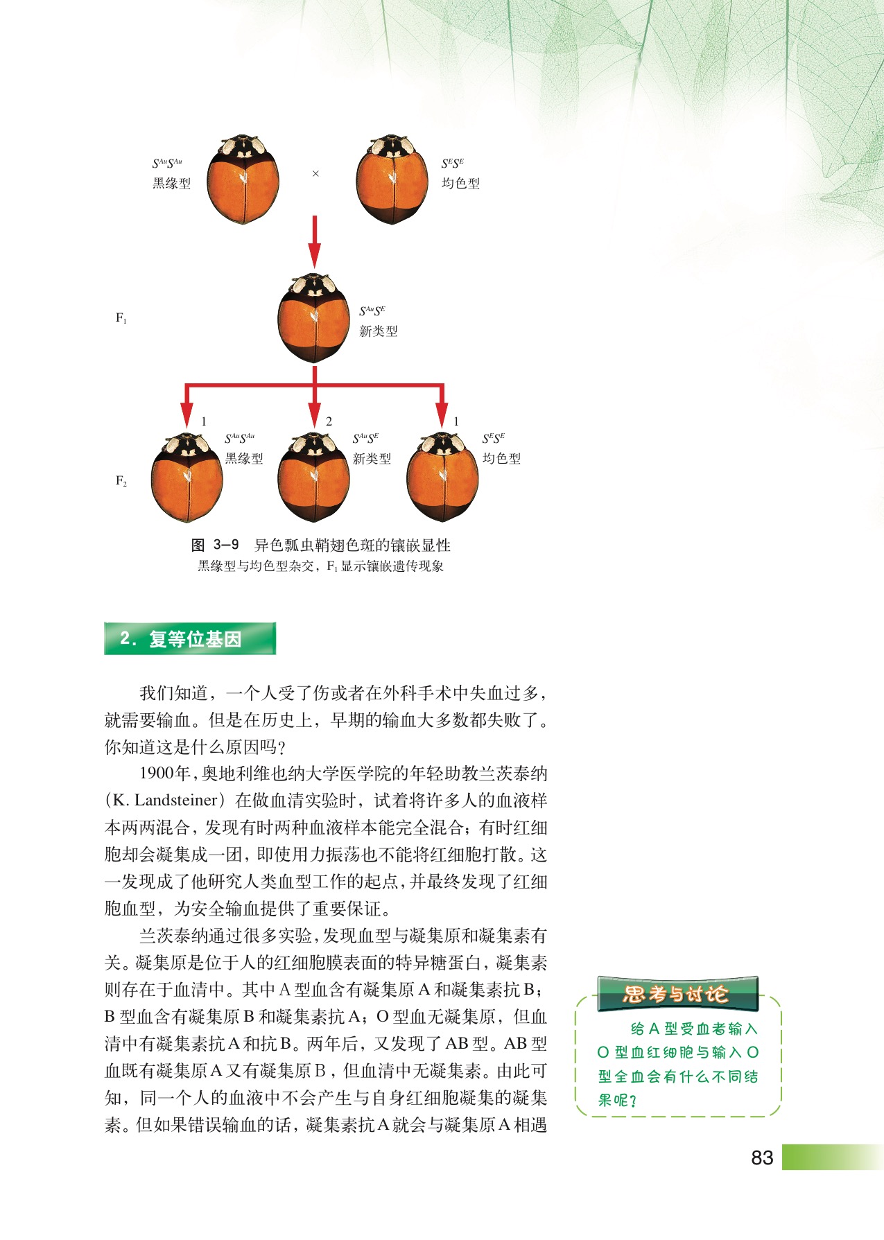 沪教版高中生物拓展型第2节 孟德尔遗传定律的扩展第2页
