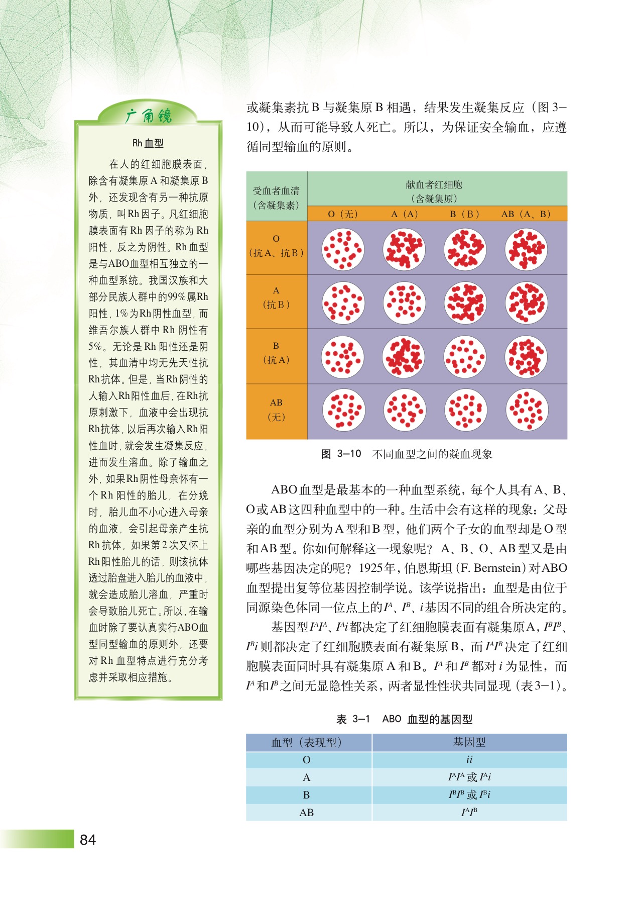 沪教版高中生物拓展型第2节 孟德尔遗传定律的扩展第3页