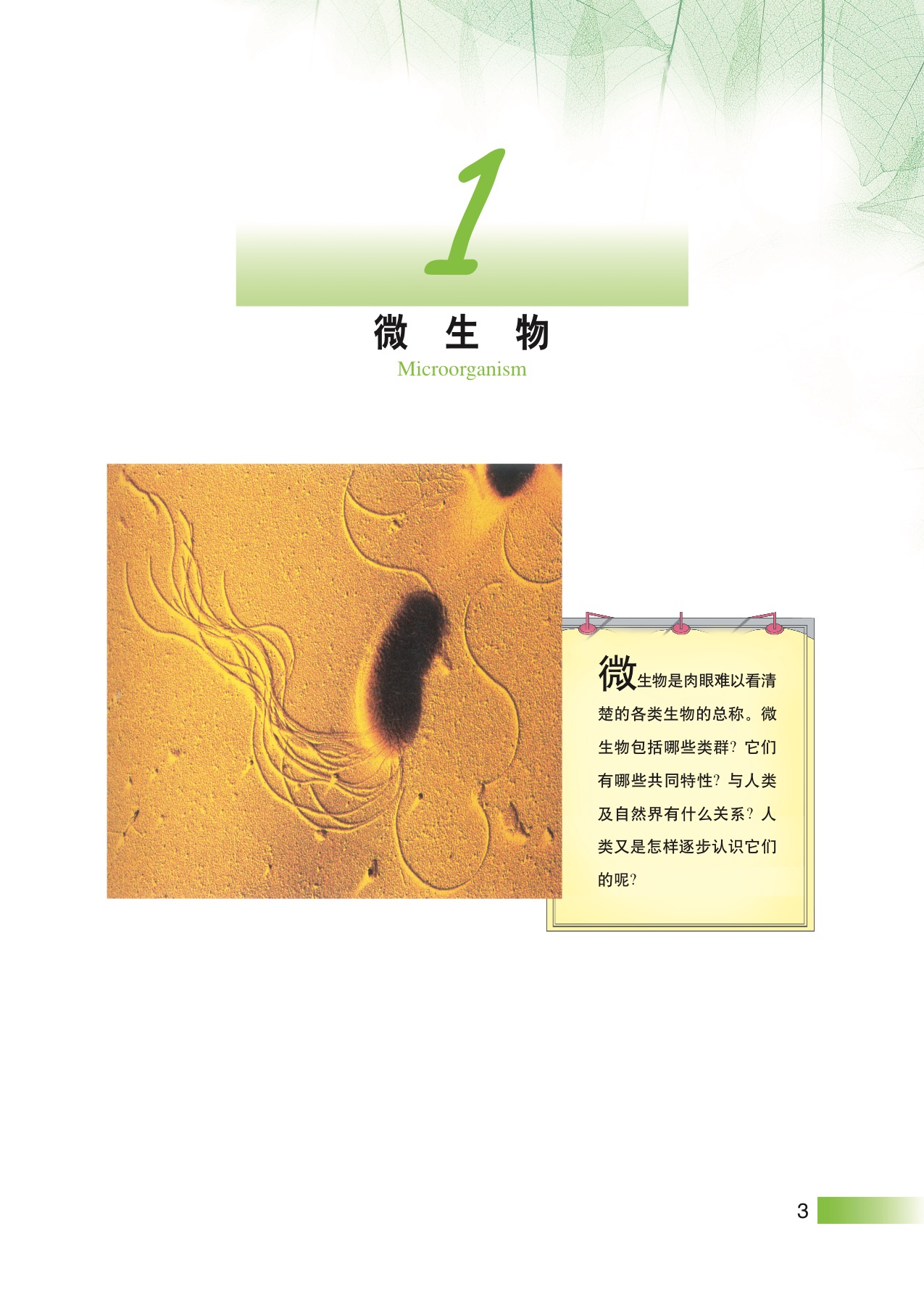 沪教版高中生物拓展型1 微生物第2页
