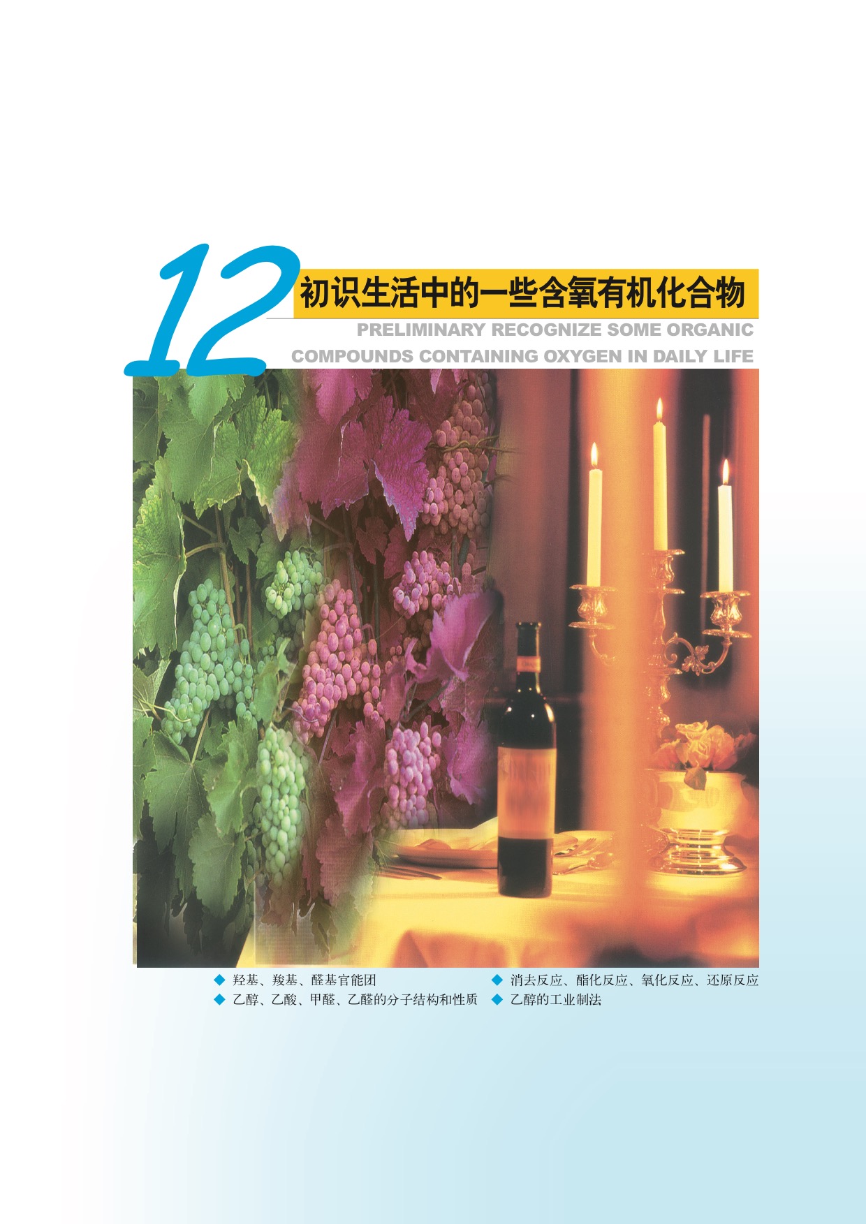 沪科版高中化学高二下册12 初识生活中的一些含氧有机化合物第0页