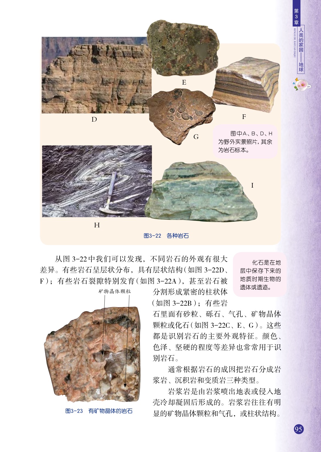浙教版七年级上册科学第3节  组成地壳的岩石第1页