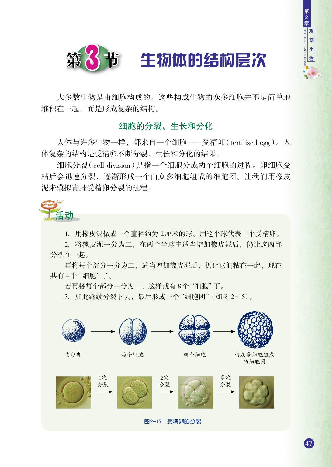 浙教版七年级上册科学第3节  生物体的结构层次第0页