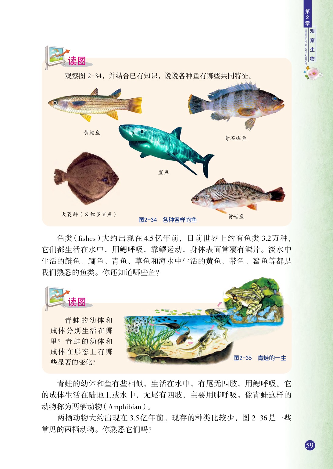 浙教版七年级上册科学第4节  常见的动物第3页